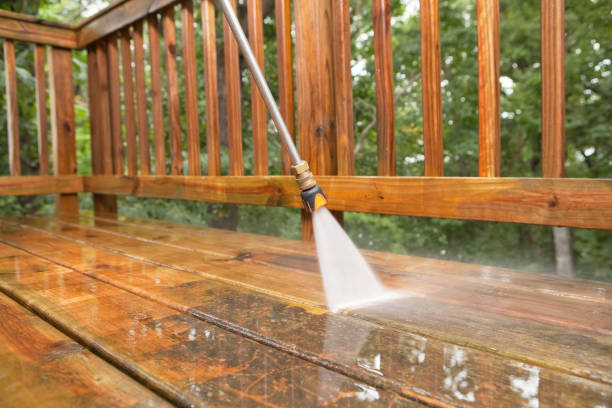 Best Animal Enclosure Cleaning  in Howell, MI